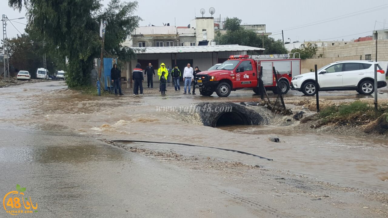 Car lud jana (2).jpg